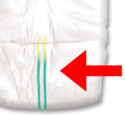 Simple Solution Βρακάκι Σκύλου για Ακράτεια Medium 12τμχ