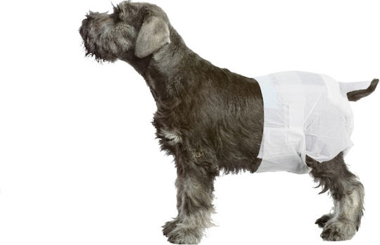 Camon Dog's Nappy Dog Panties XLarge 55 - 65cm 12pcs