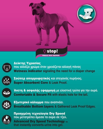 Pet Camelot Βρακάκι Σκύλου για Ακράτεια Large 12τμχ