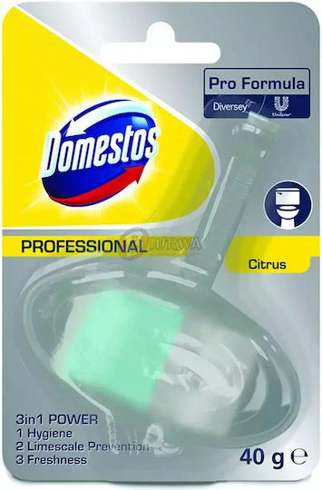 Domestos Block Λεκάνης 40gr