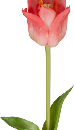 Florista Tulpe 45cm Rosa Rosa Tiefe 5,5cm X Breite 5,5cm X Höhe 45cm Florista Tulpe 45cm Rosa Rosa Tiefe 5,5cm X Breite 5,5cm X Höhe 45cm
