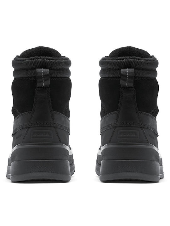 Sorel