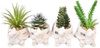 AnthoTehnic Bonsai De Decor 013 17*10cm