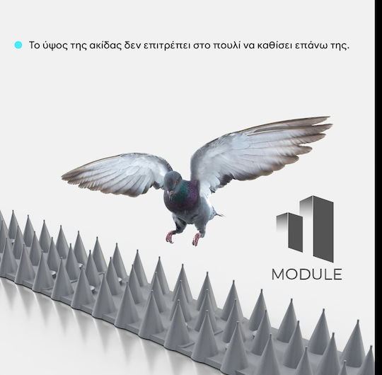 Repellent Spikes Birds / Cats / Rodents 0.45x0.05m