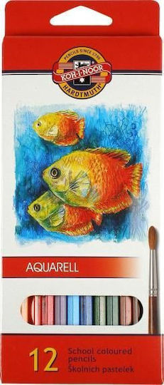 Mondeluz Watercolor Pencils 12 Colors Koh-i-noor