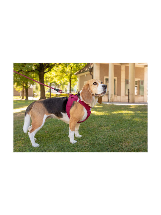 Curli Dog Harness Vest Clasp Air-Mesh Orange X-Small 35-40cm PN2831