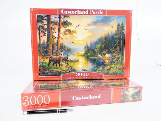 Puzzle 2D 3000pcs 300686