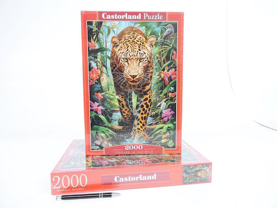 Castorland Puzzle 2000 Leopard In Wild Castor