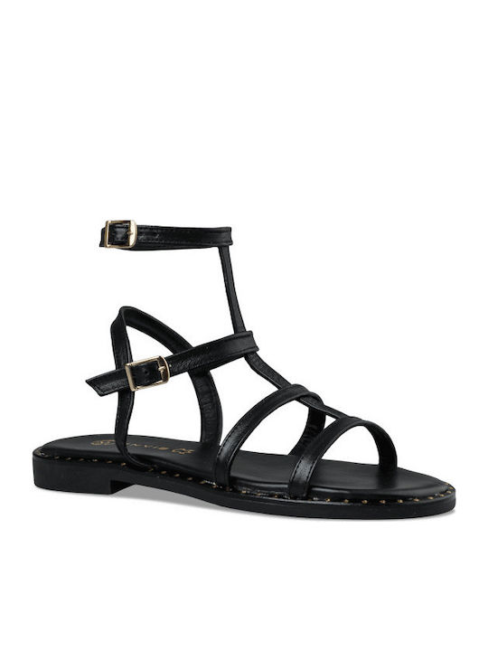 Envie Shoes