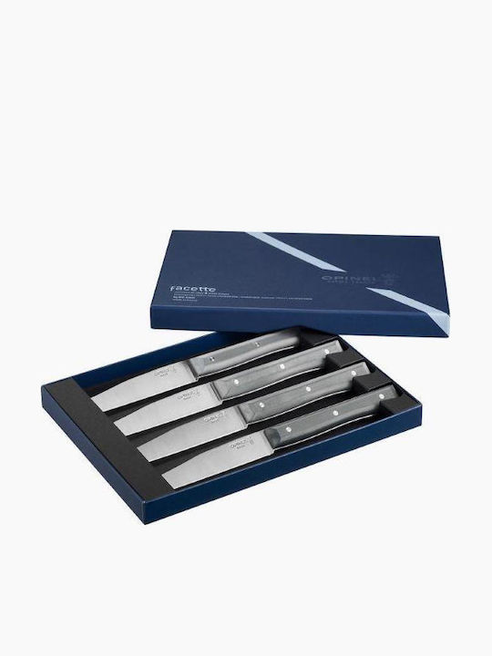 Opinel Facette Messer Lebensmittel aus rostfreiem Stahl 11cm 4Stück