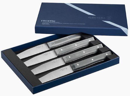 Opinel Facette Messer Lebensmittel aus rostfreiem Stahl 11cm 4Stück