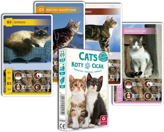 Joc de Societate Cat Quartet pentru 2-4 Jucători 3+ Ani Cartamundi