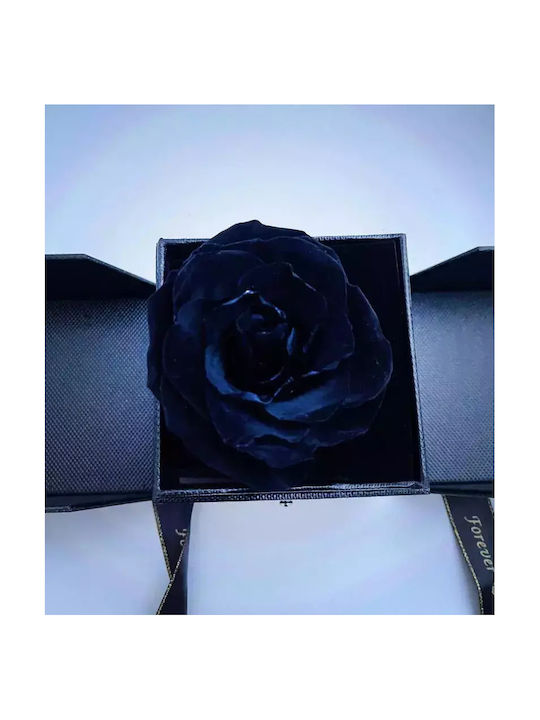 Forever Rose Black Jewelry Case Luxury Box 32cm X 10cm X 11cm