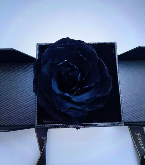 Forever Rose Черна Кутия За Бижута Луксозна Кутия 32см X 10см X 11см