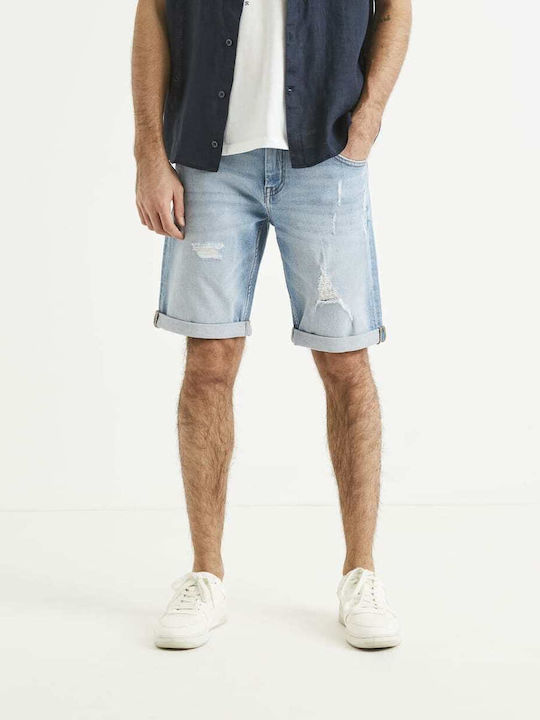 Celio* Jean Bερμουδα Σκισιματα