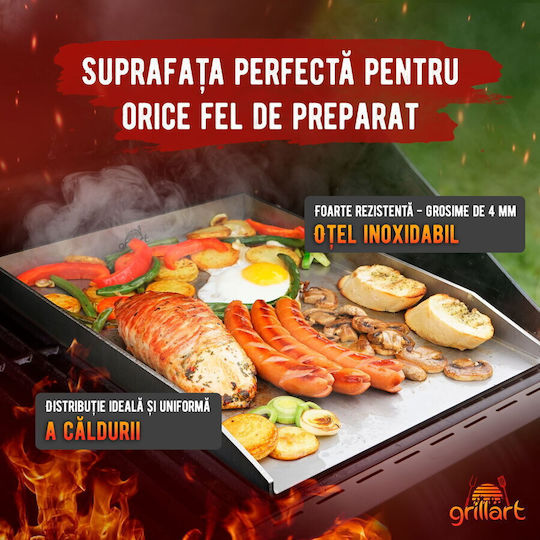 Placă de copt cu Suprafață din Inox Cositorit 40x30x3.6cm