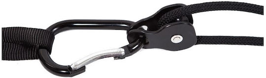 Fitness Straps