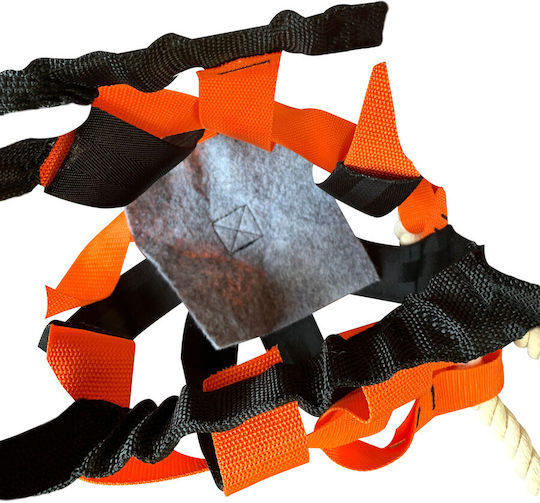 Luxury Fitness L00266