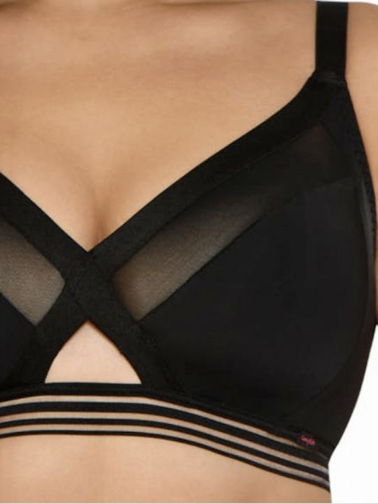 Curvy Kate Curvy Kate