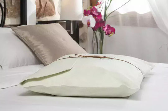 Alpha Foam Classic Aloe Vera Memory Foam Ανατομικό 45x65x14cm