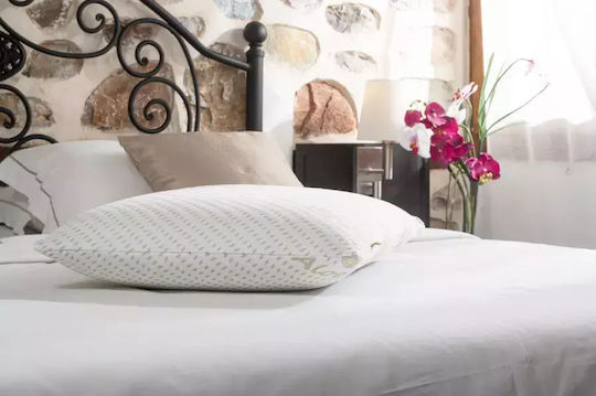 Alpha Foam Classic Aloe Vera Μαξιλάρι Ύπνου Memory Foam Ανατομικό 45x65x14cm