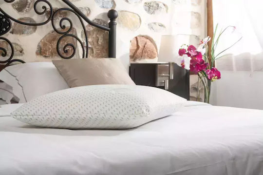 Alpha Foam Classic Aloe Vera Μαξιλάρι Ύπνου Memory Foam Ανατομικό 45x65x10cm
