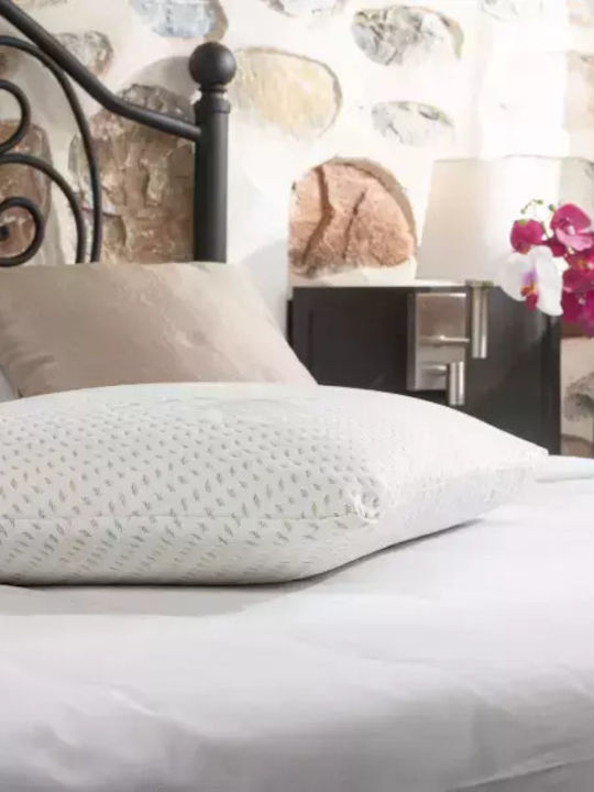 Alpha Foam Classic Aloe Vera Μαξιλάρι Ύπνου Memory Foam Ανατομικό 45x65x12cm