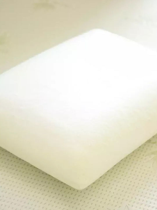 Alpha Foam Classic Aloe Vera Perna Pat Spumă De Memorie Anatomic 45x65x12cm