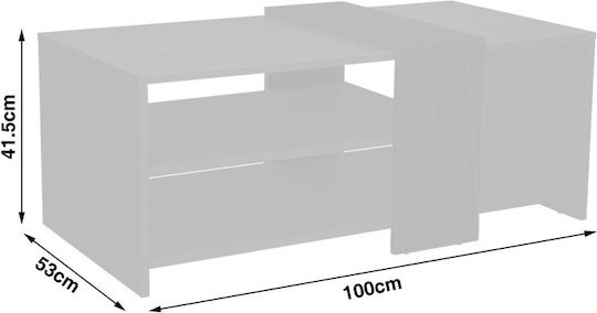 Rectangular Central Coffee Table Cozeto from Solid Wood Natural White W100xD53xH41.5cm