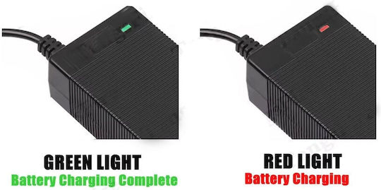 Amarad Charger for Electric Scooter Xiaomi 6.3.7