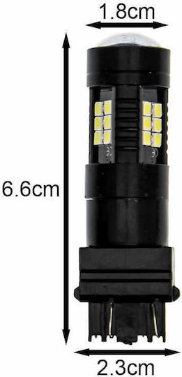 Λάμπα Αυτοκινήτου & Μοτοσυκλέτας T25 LED 6500K Ψυχρό Λευκό 12-24V 5W