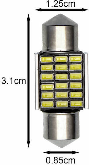 Lamps Car & Motorcycle C5W Canbus LED 6500K Cold White 12V 1pcs