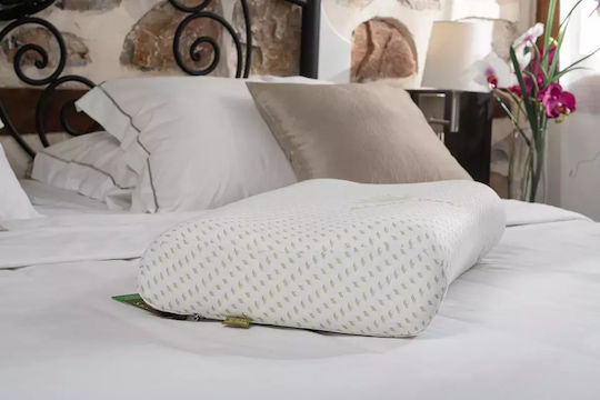 Alpha Foam Smile Aloe Vera Bed Pillow Memory Foam Anatomic 36x60x13cm