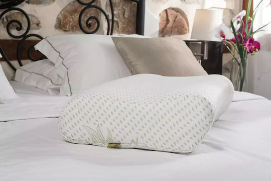 Alpha Foam Smile Aloe Vera Bed Pillow Memory Foam Anatomic 36x60x13cm