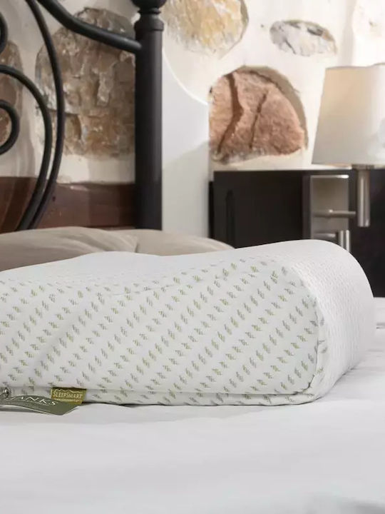Alpha Foam Deluxe Aloe Vera Anatomic Memory Foam Bed Pillow