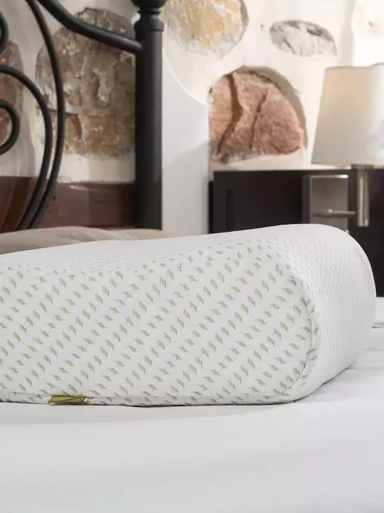 Alpha Foam Deluxe Aloe Vera Anatomic Memory Foam Bed Pillow