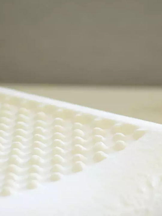 Alpha Foam Advance Aloe Vera Μαξιλάρι Ύπνου Memory Foam Ανατομικό 40x60x12cm