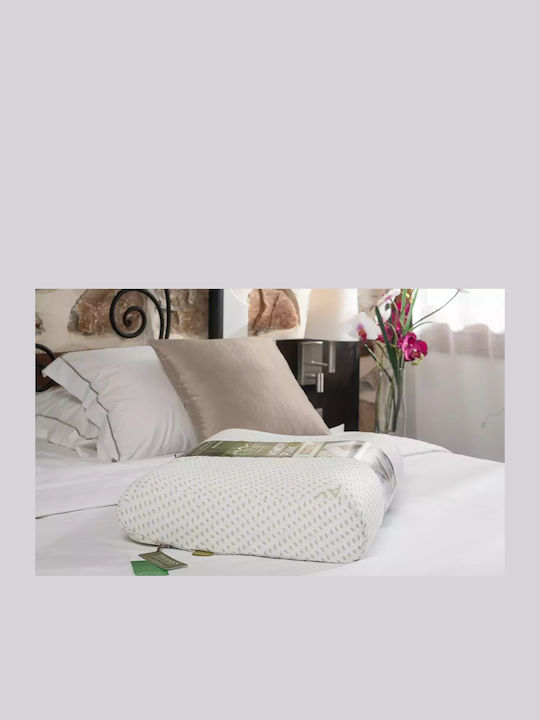 Alpha Foam Advance Aloe Vera Μαξιλάρι Ύπνου Memory Foam Ανατομικό 40x60x12cm