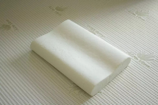 Alpha Foam Deluxe Aloe Vera Bed Pillow Memory Foam Anatomic 36x55x15cm