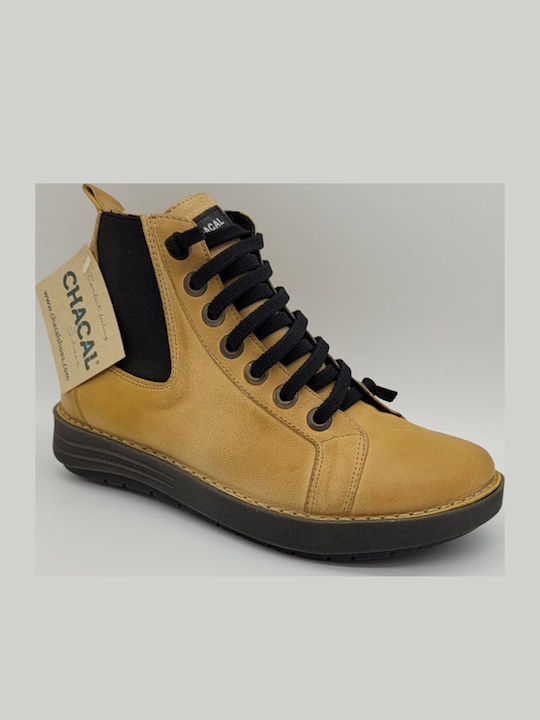 Chacal Leder Stiefeletten Damen