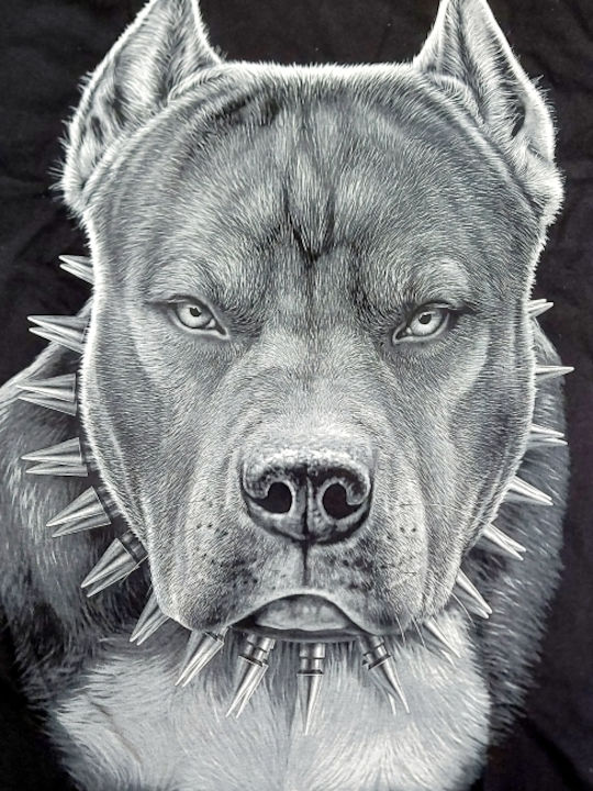 Pitbull Printed Blouse