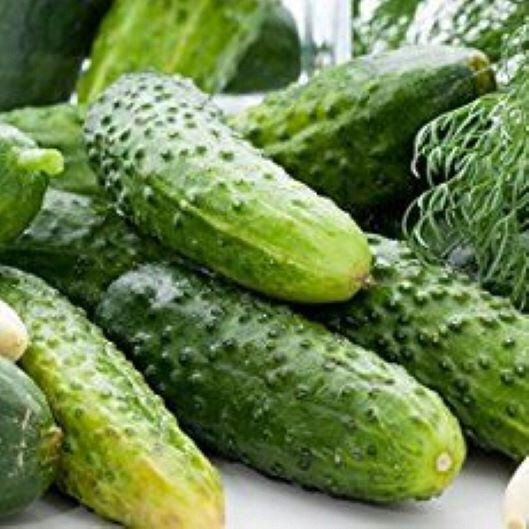 Toraf Σπόροι Αγγουριού 5gr
