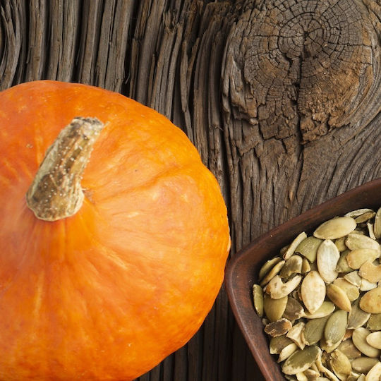 Pnos Зеленчукови Семена Гигантска Тиква Dolores Опаковка 5г