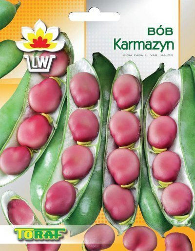 Toraf Vegetable Seeds Crimson Broad Bean 30g Package