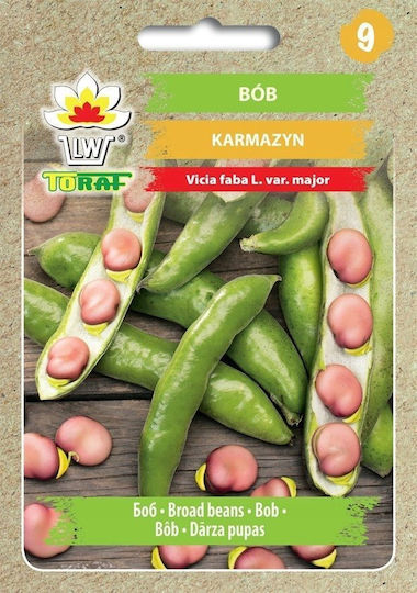 Toraf Vegetable Seeds Crimson Broad Bean 30g Package
