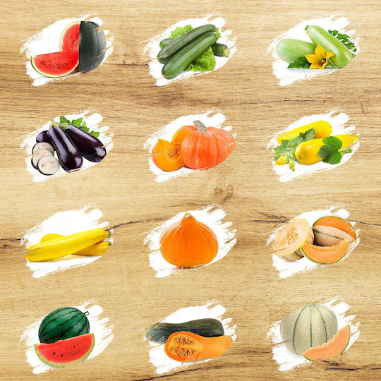 Toraf Flavor Symphony Seed Set 12 Packs