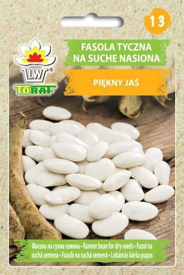 Toraf Vegetable Seeds Radish Saxa 3 Package 10g