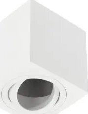 Ceiling Mount Light White with Socket GU10