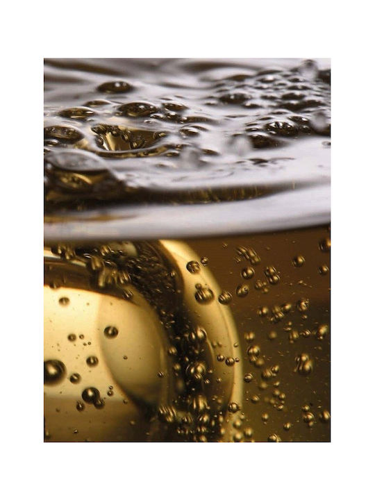 Zwiesel Glas Glass Water made of Glass 400ml