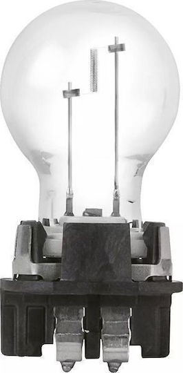 Philips Car Lamp PW16W 12V
